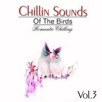 Chillin Sound of Birds, Vol. 3