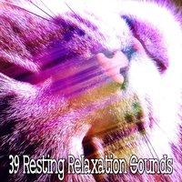 39 Resting Relaxation Sounds