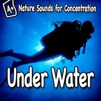 Nature Sounds for Concentration – Under Water