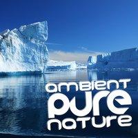 Ambient Pure Nature