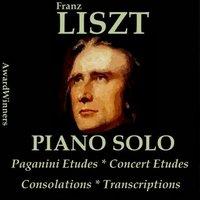 Liszt, Vol. 5: Paganini Etudes - Consolations - Transcriptions