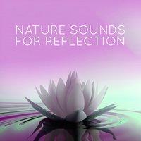 Nature Sounds for Reflection