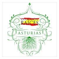 Colección Raíces - Asturias