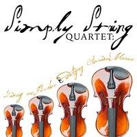 String Quartet No. 14 in C-Sharp Minor, Op. 131: VI. Adagio quasi un poco Andante