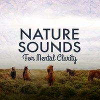 Nature Sounds for Mental Clarity