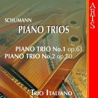 Piano Trio No.1 In D Minor Op. 63 (1847), IV-Mit Feuer