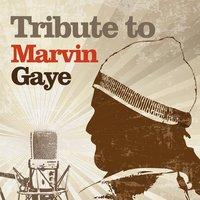 Tribute to Marvin Gaye