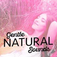 Gentle Natural Sounds