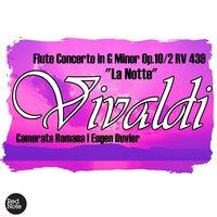 Vivaldi: Flute Concerto in G Minor Op.10/2 RV 439 "La Notte"