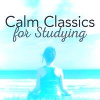 Calm Classics for Studying