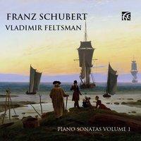 Schubert: Piano Music, Vol. 1