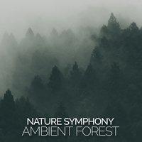 Nature Symphony: Ambient Forest