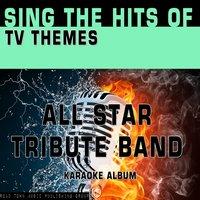 Sing the Hits of TV Themes