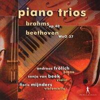 Brahms & Beethoven: Chamber Works
