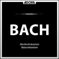 Bach: Hochzeitskantate No. 202, Bauernkantate No. 212