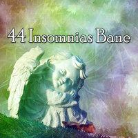 44 Insomnias Bane