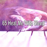 65 Heal Me with Sle - EP