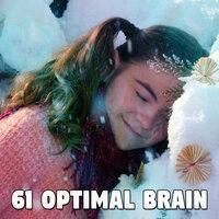 61 Optimal Brain