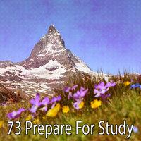 73 Prepare for Study