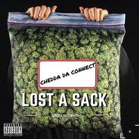 Lost a Sack