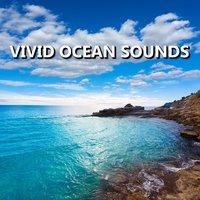 Vivid Ocean Sounds