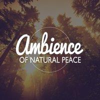Ambience of Natural Peace