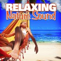 Relaxing Nature Sound