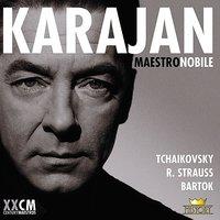 Herbert von Karajan Vol. 5