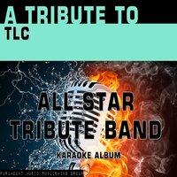 A Tribute to TLC
