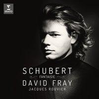 Schubert: Piano Sonata, Op. 78 - Hungarian Melody - Fantasia & Allegro for Piano Four-Hands