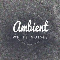 Ambient White Noise