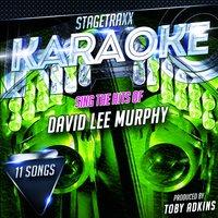 Stagetraxx Karaoke: Sing the Hits of David Lee Murphy