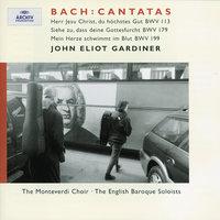 J.S. Bach: Cantatas for the 11th Sunday after Trinity