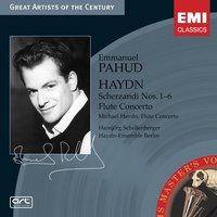 Haydn: Flute Concertos etc.