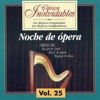 Clásicos Inolvidables Vol. 25, Noche de Ópera