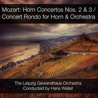 Mozart: Horn Concertos Nos. 2 & 3 / Concert Rondo for Horn & Orchestra