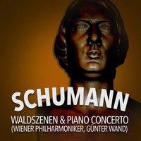 Schumann: Waldszenen & Piano Concerto