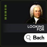 Looking for Bach