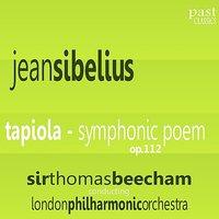 Sibelius: Tapiola - Symphonic Poem, Op. 112