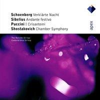 Schoenberg / Sibelius / Shostakovich / Puccini : Works for Strings [Apex]