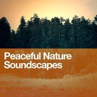 Peaceful Nature Soundscapes