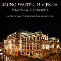 Bruno Walter in Vienna: Brahms & Beethoven