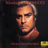 Nicola Martinucci : The True Voice of the Opera