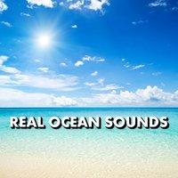 Real Ocean Sounds