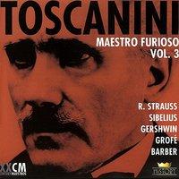 Toscanini: Maestro Furioso. Vol. 3