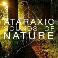 Ataraxic Sounds of Nature