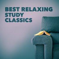Best Relaxing Study Classics
