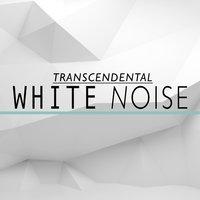 Transcendental White Noise