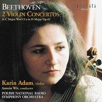 Beethoven: 2 Violin Concertos