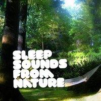 Sleep Sounds from Nature